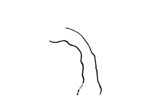 春天的柳树简笔画