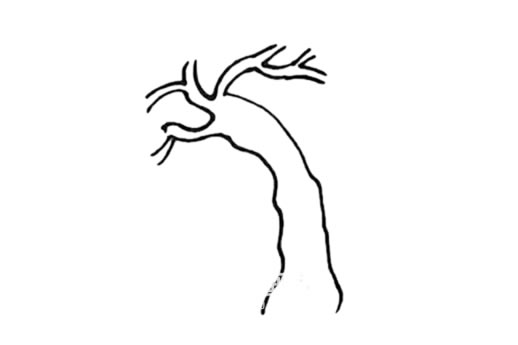 春天的柳树简笔画