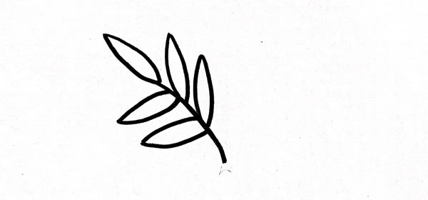 含羞草简笔画步骤画法