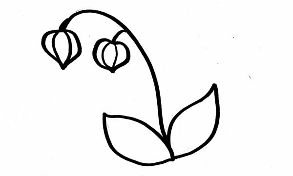 灯笼草简笔画步骤