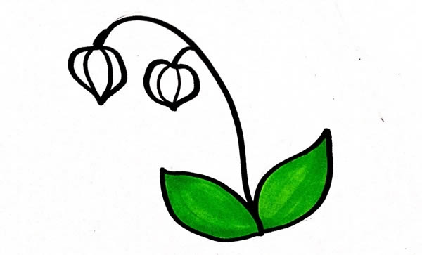 灯笼草简笔画步骤