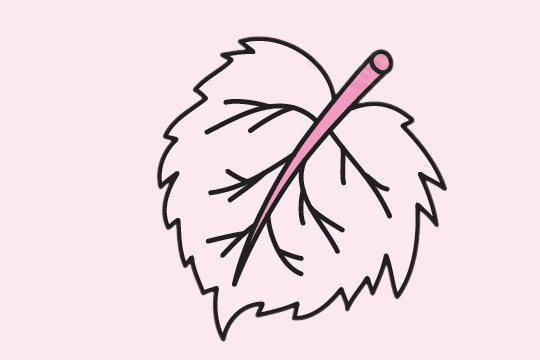 分享几幅树叶的简笔画