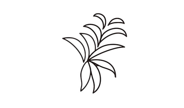 彩色的吊兰简笔画