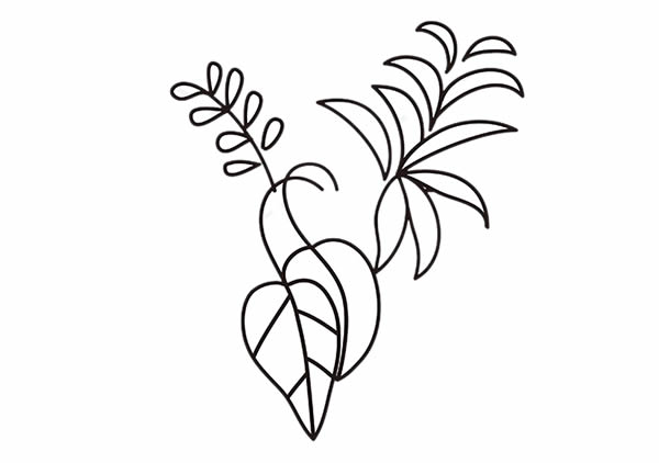 彩色的吊兰简笔画