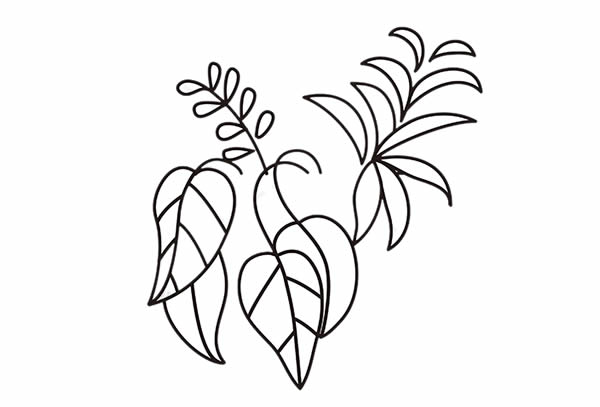 彩色的吊兰简笔画