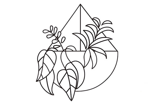 彩色的吊兰简笔画