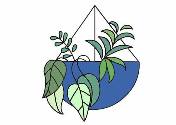 彩色的吊兰简笔画