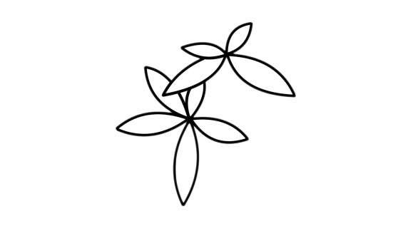 发财树盆栽简笔画