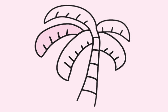 非常简单的椰树简笔画