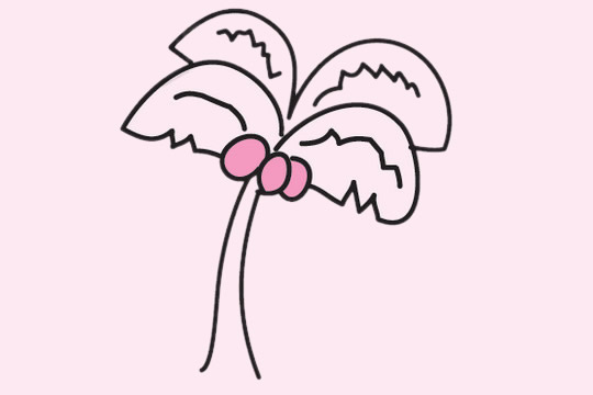 非常简单的椰树简笔画