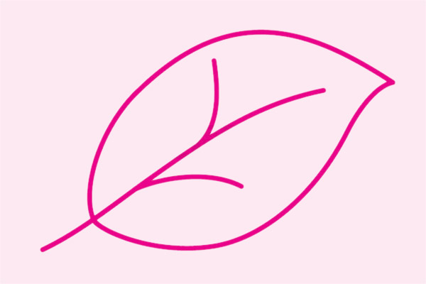 关于树叶的简笔画