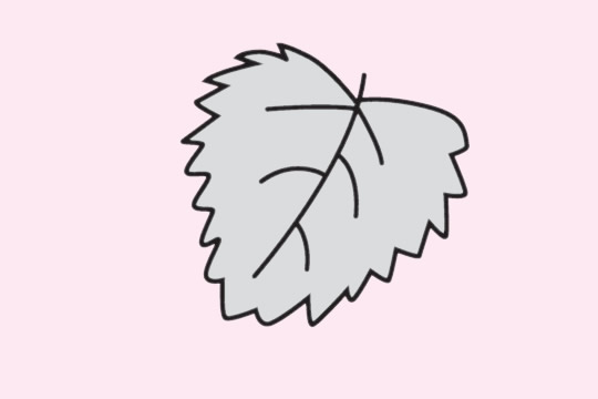 关于树叶的简笔画