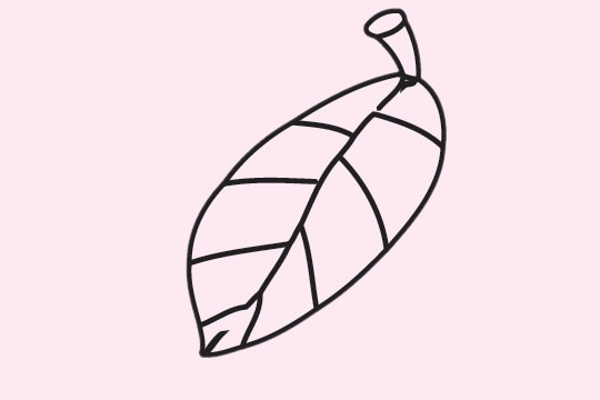关于树叶的简笔画
