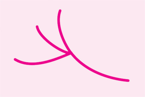 银杏叶简笔画步骤