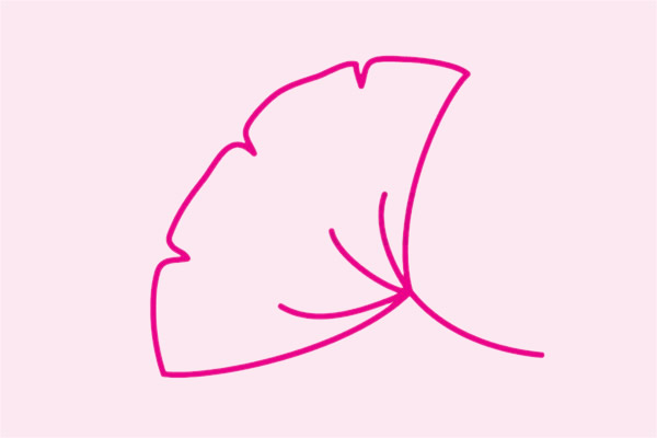 银杏叶简笔画步骤