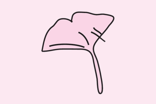 银杏叶简笔画步骤