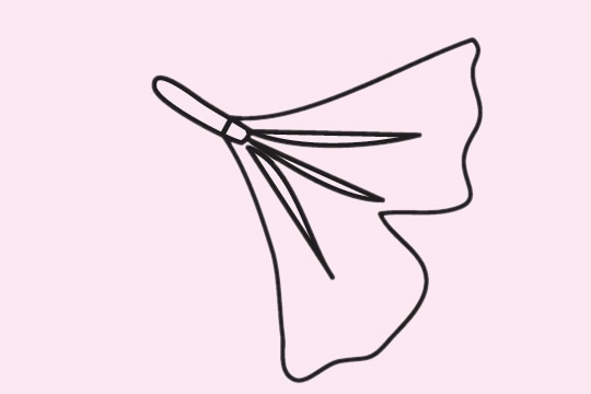 银杏叶简笔画步骤