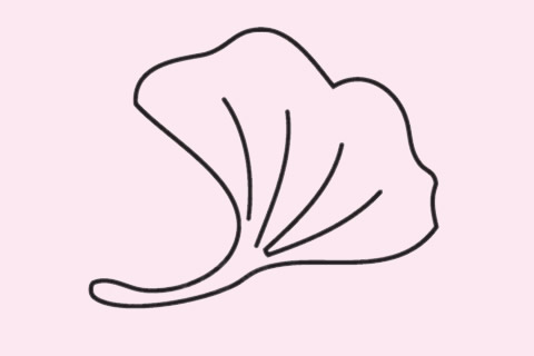 银杏叶简笔画步骤