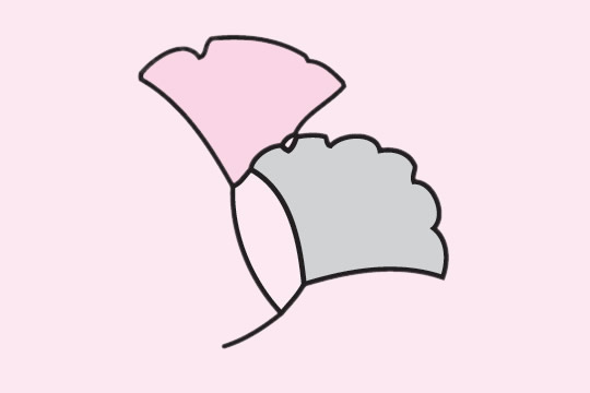 银杏叶简笔画步骤