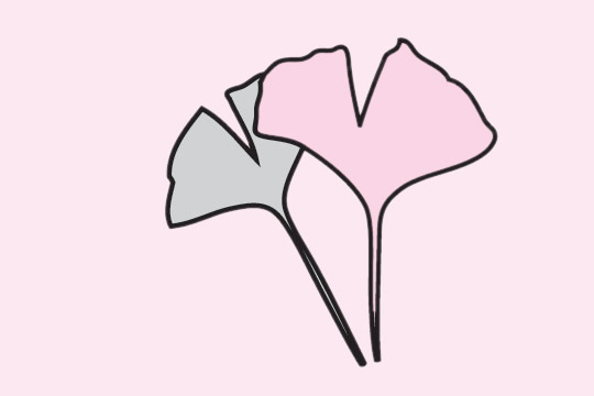 银杏叶简笔画步骤