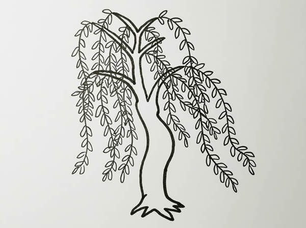 好看的柳树简笔画图片