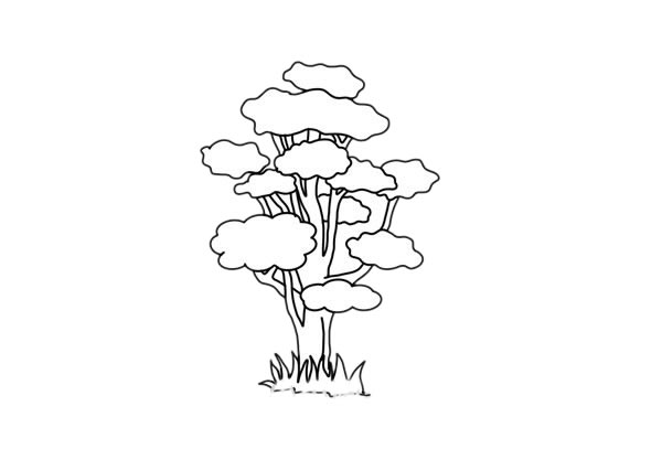 柞树简笔画详细步骤