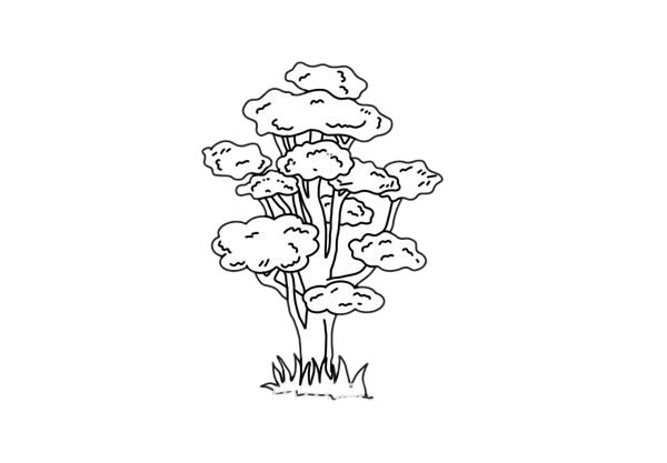 柞树简笔画详细步骤