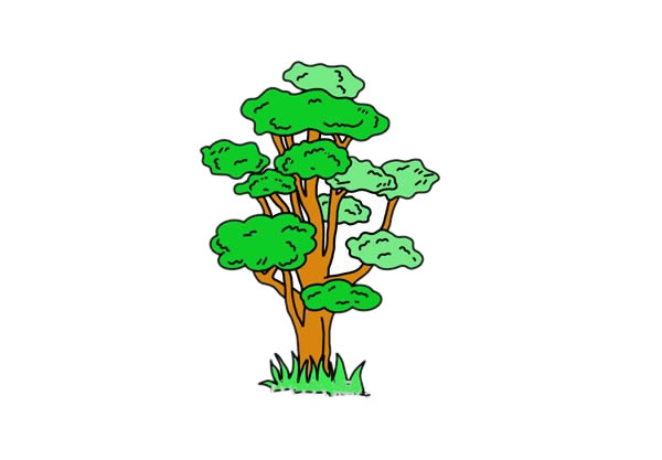柞树简笔画详细步骤
