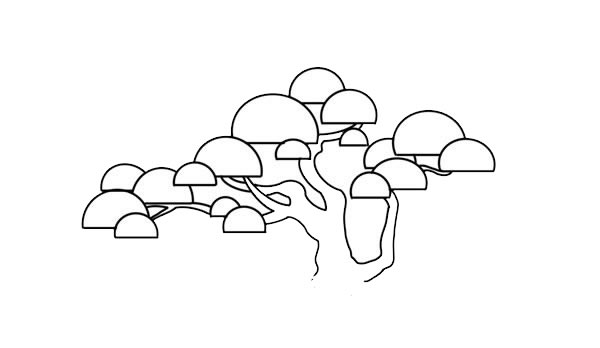 漂亮的彩色云南松简笔画