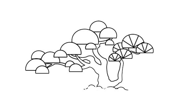 漂亮的彩色云南松简笔画