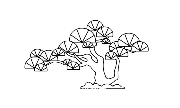 漂亮的彩色云南松简笔画