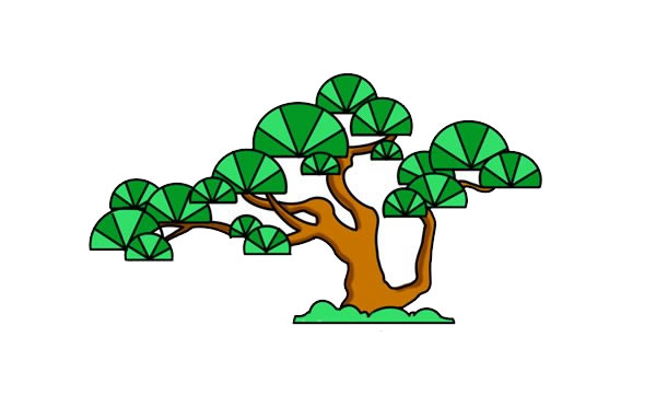 漂亮的彩色云南松简笔画
