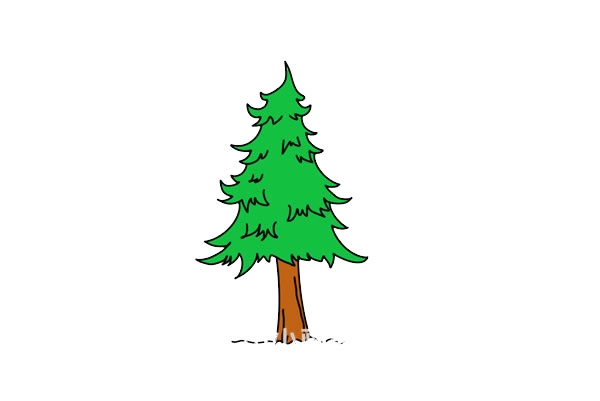 简单的松树简笔画怎么画