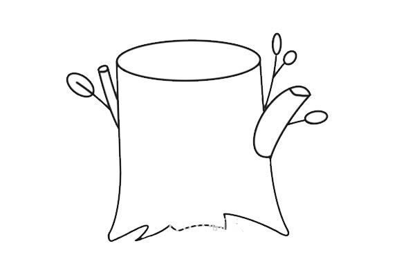 彩色的树桩简笔画步骤