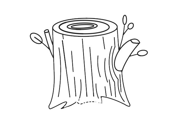 彩色的树桩简笔画步骤