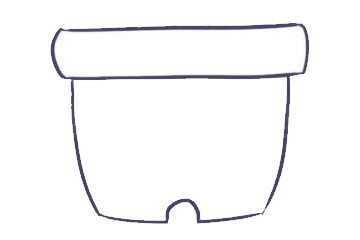 仙人掌简笔画详细步骤