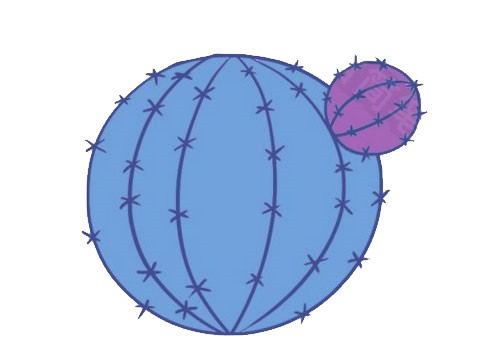 仙人掌简笔画详细步骤