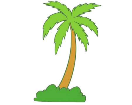 椰树怎么画 椰树简笔画步骤