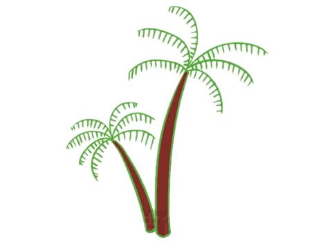 椰树怎么画 椰树简笔画步骤