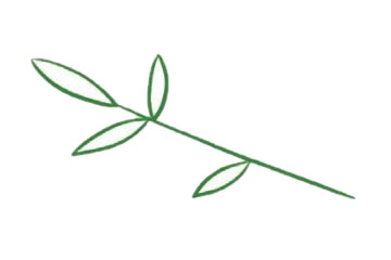 好看的竹子儿童简笔画