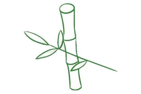 好看的竹子儿童简笔画