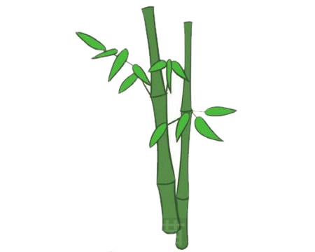 好看的竹子儿童简笔画