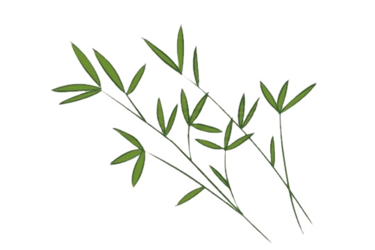 好看的竹子儿童简笔画