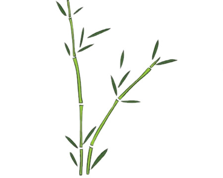 好看的竹子儿童简笔画