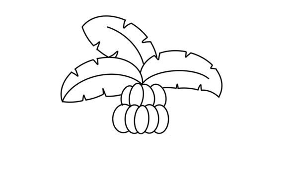 卡通的香蕉树简笔画