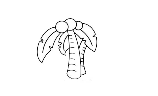 带涂色的椰树儿童简笔画