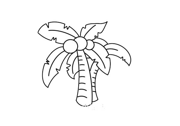 带涂色的椰树儿童简笔画