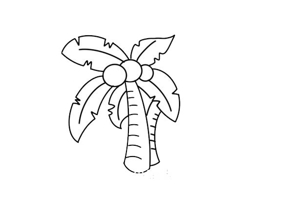 带涂色的椰树儿童简笔画