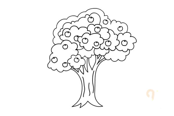 结满果子的苹果树简笔画