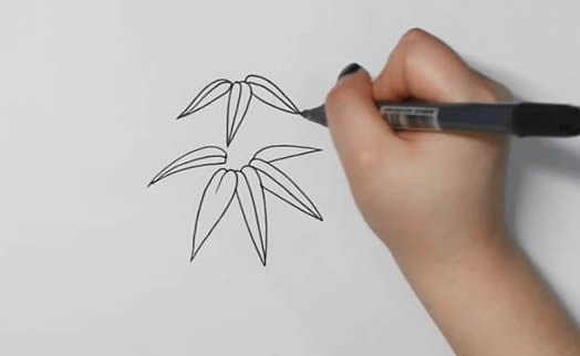 漂亮的竹子简笔画
